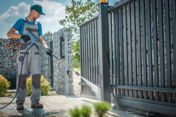 Best Graffiti Removal  in Holtville, CA